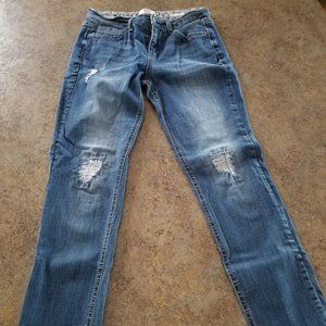 Vintage America Distressed Bestie Jeans